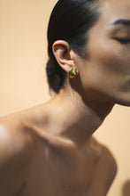 Load image into Gallery viewer, Sab