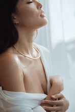 Load image into Gallery viewer, Wiki