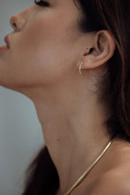 Load image into Gallery viewer, Wiki