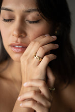 Load image into Gallery viewer, Puang
